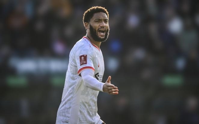 的整体实力 的整体实力